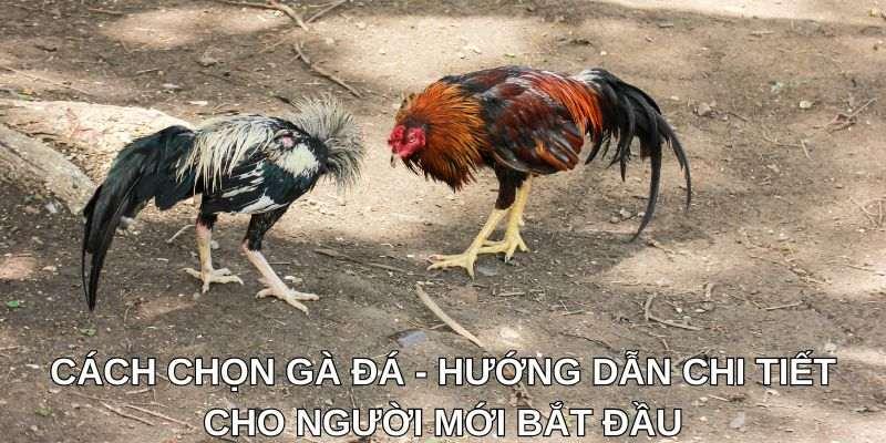 Khám phá các app kiếm tiền uy tín nhất hiện nay dành cho người mới bắt đầu