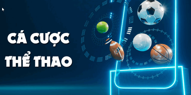 Cập nhật tỷ số bóng đá trực tuyến hấp dẫn cùng football 365 live