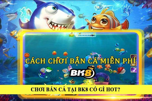 Trực tiếp bóng đá hấp dẫn cùng keo nha cai chuẩn xác – Xem trực tiếp bóng đá cập nhật keo nha cai mới nhất